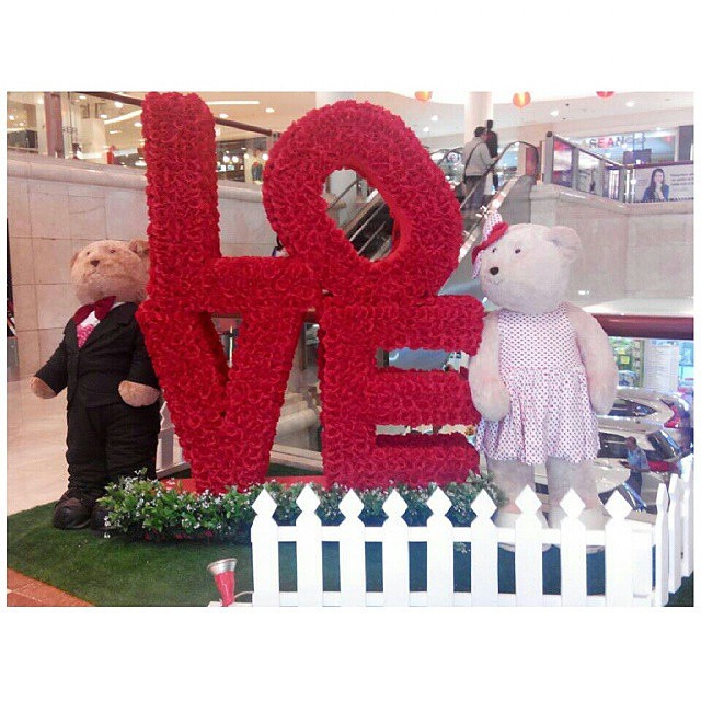 Teddy's Valentine Photo Contest 2015