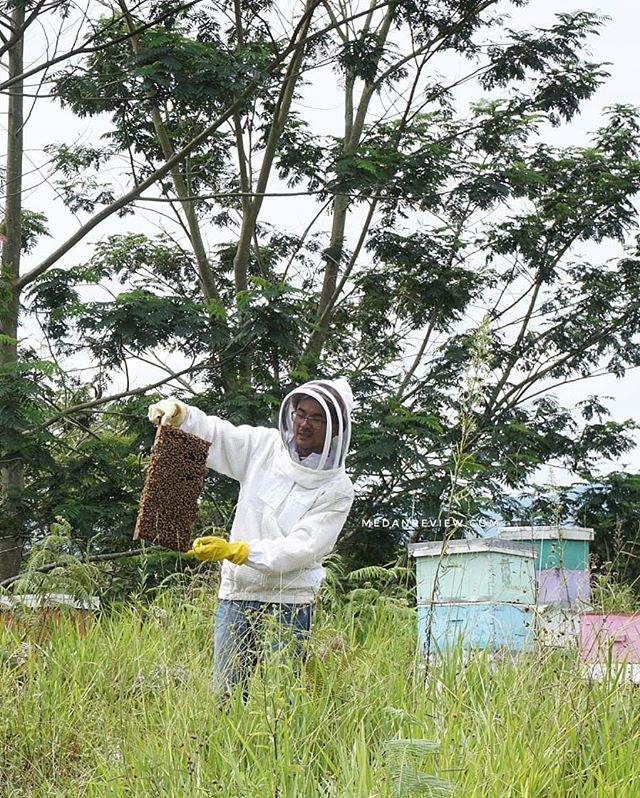 Bapak Felix Menunjukkan Sarang Lebah Madu Efi