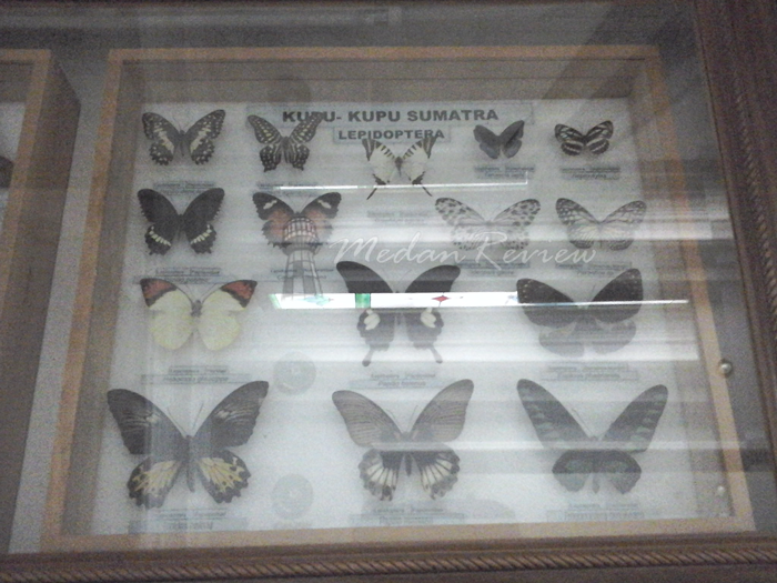 Galeri Rahmat (Rahmat International Wildlife Museum & Gallery)